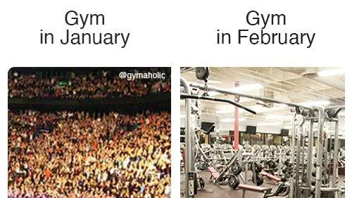 Gym in Jan / Feb - meme